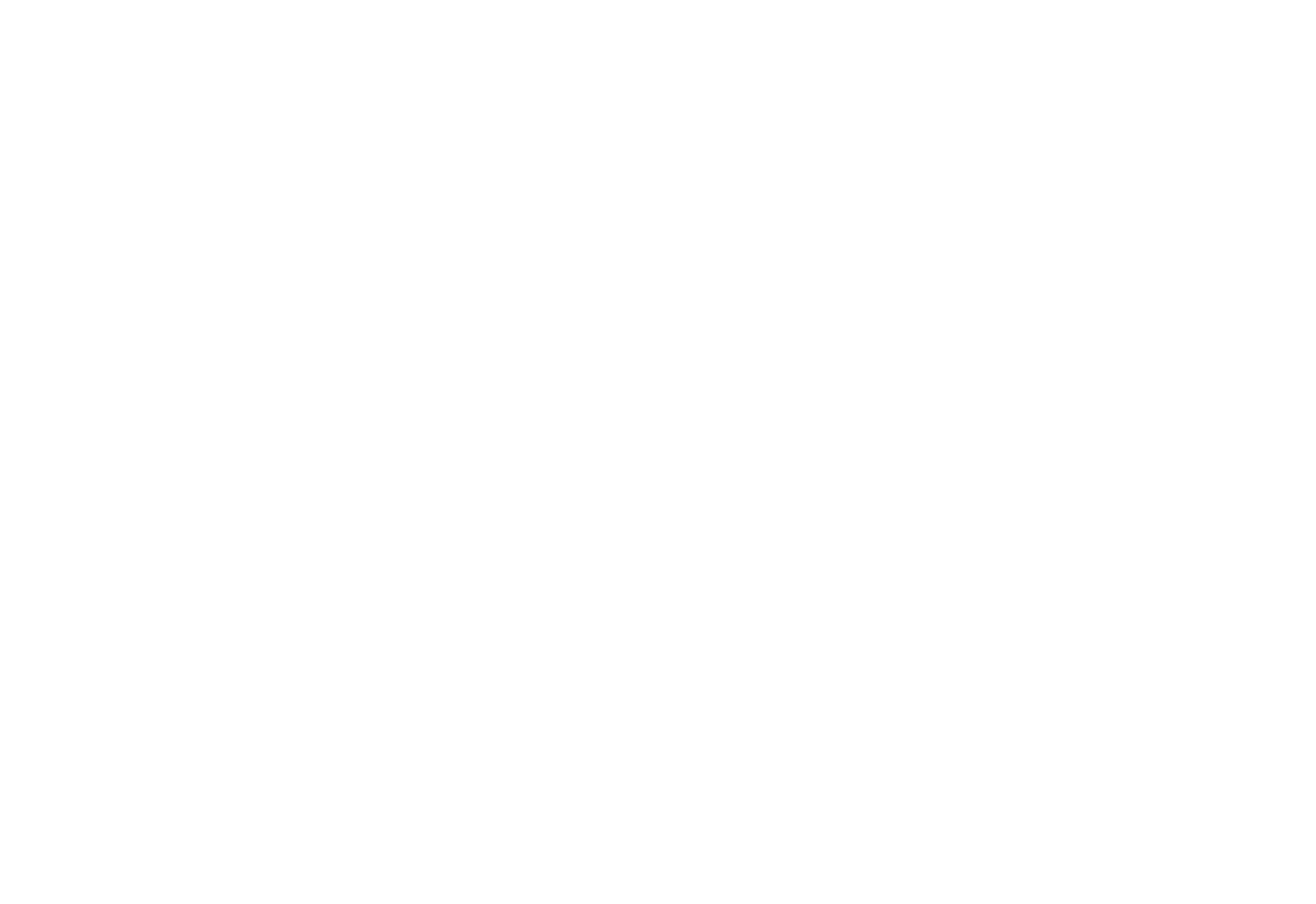 Bass Coast logo